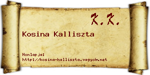 Kosina Kalliszta névjegykártya